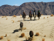 Namibia-Namibia-Desert Canyons Safari